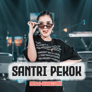 Download Lagu Nella Kharisma - Santri Pekok MP3 Download Lagu Nella Kharisma - Santri Pekok MP3