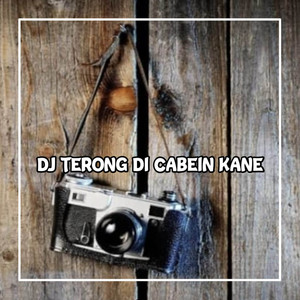 Download Lagu DJ Banjar - DJ TERONG DI CABEIN KANE MP3 Download Lagu DJ Banjar - DJ TERONG DI CABEIN KANE MP3