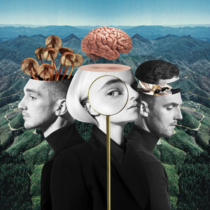 Download Lagu Clean Bandit, Zara Larsson - Symphony (feat. Zara Larsson) MP3