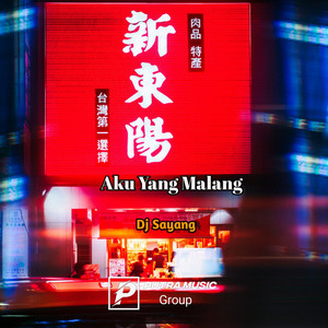 Download Lagu Dj sayang - Aku Yang Malang MP3
