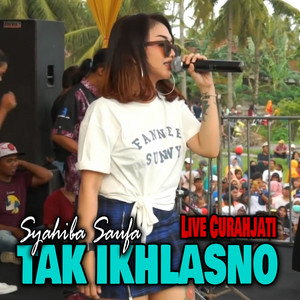 Download Lagu Syahiba Saufa - Tak Ikhlasno - Live Curahjati MP3 Download Lagu Syahiba Saufa - Tak Ikhlasno - Live Curahjati MP3