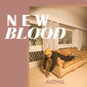Download Lagu SoftAnimal - New Blood MP3 Download Lagu SoftAnimal - New Blood MP3