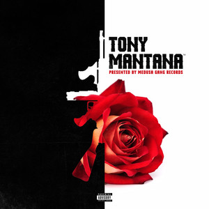 Download Lagu Tony Mantana - Tony Mantana MP3 Download Lagu Tony Mantana - Tony Mantana MP3