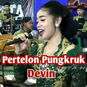 Download Lagu Erin Sabrina, Devin - Pertelon Pungkruk MP3