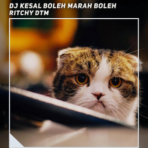 Download Lagu Ritchy DTM - Dj Pak Wong Vong X Cintaku Istimewa X Trombone Viral MP3