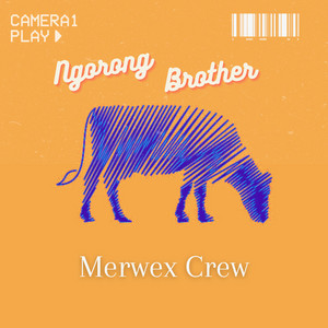 Download Lagu Merwex Crew - Macak Galak MP3