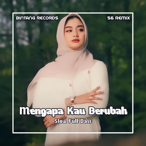 Download Lagu Cut Rani Auliza - DJ Mengapa Kau Berubah MP3