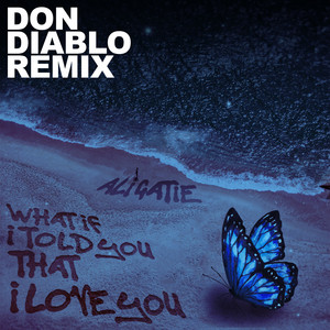 Download Lagu Ali Gatie, Don Diablo - What If I Told You That I Love You - Don Diablo Remix MP3