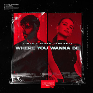 Download Lagu R3HAB, Elena Temnikova - Where You Wanna Be MP3
