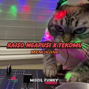 Download Lagu Mocil Fvnky - RAISO NGAPUSI X TEKOMU MENGKANE MP3