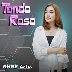 Download Lagu BHRE Artis, Denik Armila - Tondo Roso MP3