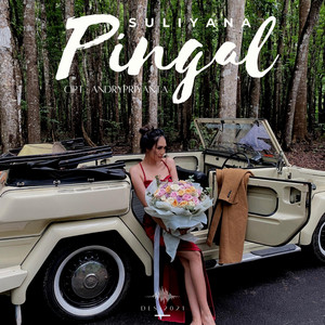 Download Lagu Suliyana - Pingal MP3 Download Lagu Suliyana - Pingal MP3