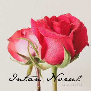 Download Lagu Intan Norul - Cinta Sejati - Original Soundtrack MP3 Download Lagu Intan Norul - Cinta Sejati - Original Soundtrack MP3