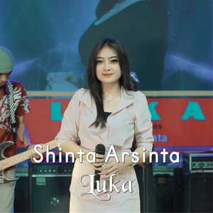 Download Lagu Shinta Arsinta - Luka MP3