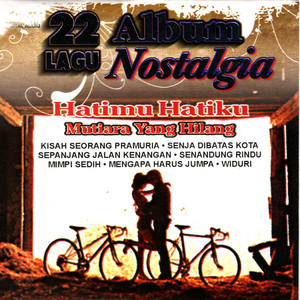 Download Lagu Johan Untung - Angin Malam MP3