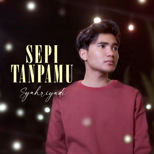 Download Lagu Syahriyadi - Sepi Tanpamu MP3