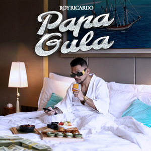 Download Lagu Roy Ricardo - Papa Gula MP3