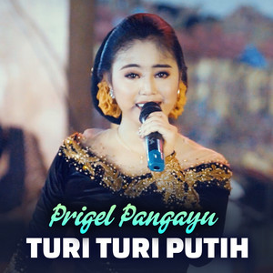Download Lagu Prigel Pangayu - Turi Turi Putih MP3 Download Lagu Prigel Pangayu - Turi Turi Putih MP3