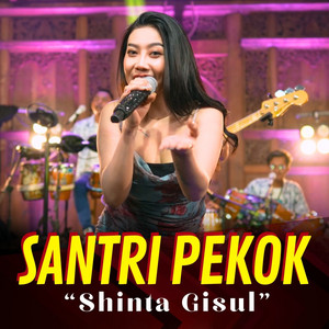 Download Lagu Shinta Gisul - Santri Pekok MP3 Download Lagu Shinta Gisul - Santri Pekok MP3