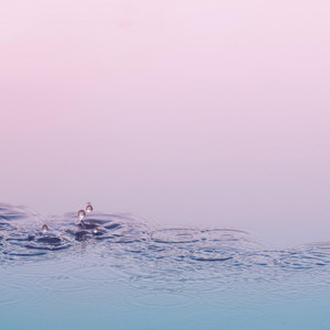 Download Lagu Kina Grannis - Somebody Loved MP3 Download Lagu Kina Grannis - Somebody Loved MP3