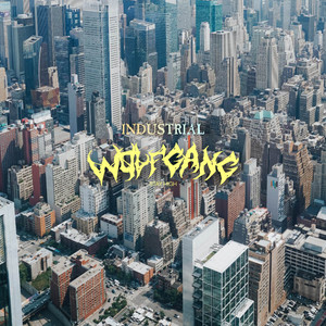 Download Lagu Adry WG, Radifthirteen - INDUSTRIAL WOLFGANG REMIX MP3