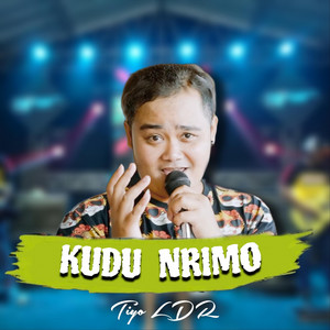 Download Lagu Tiyo Ldr - Kudu Nrimo MP3