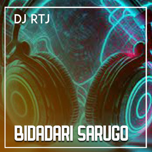 Download Lagu DJ RTJ - BIDADARI SARUGO MP3