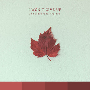 Download Lagu The Macarons Project - I Won't Give Up - Acoustic Version MP3