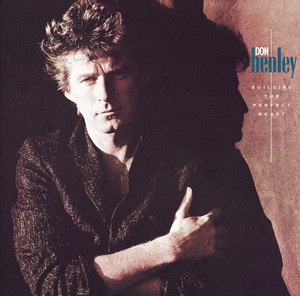 Download Lagu Don Henley - The Boys Of Summer MP3