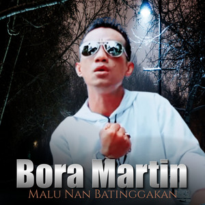 Download Lagu Bora Martin - Malu Nan Batinggakan MP3 Download Lagu Bora Martin - Malu Nan Batinggakan MP3