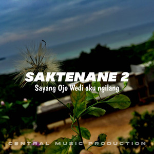 Download Lagu AMRI FVNKY - Saktenane 2 MP3