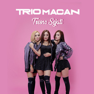 Download Lagu Trio Macan - Tresno Sejati MP3