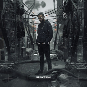 Download Lagu Prince Husein - Skywalker MP3 Download Lagu Prince Husein - Skywalker MP3