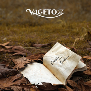 Download Lagu Vagetoz - Usai Pencarianku MP3
