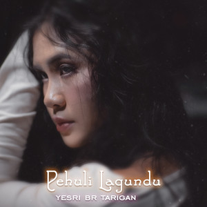Download Lagu Yesri Tarigan - Pehuli Lagundu MP3