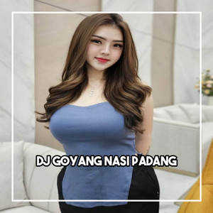 Download Lagu DJ Haning - DJ GOYANG NASI PADANG MP3 Download Lagu DJ Haning - DJ GOYANG NASI PADANG MP3