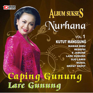 Download Lagu Nurhana - E Jamune MP3
