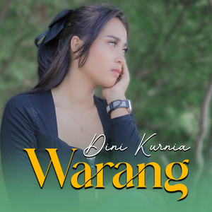 Download Lagu Dini Kurnia - Warang MP3