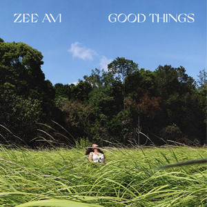 Download Lagu Zee Avi - Good Things MP3 Download Lagu Zee Avi - Good Things MP3