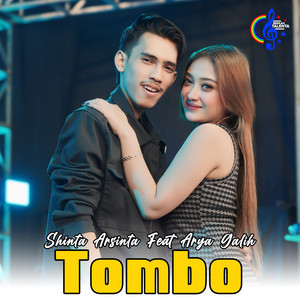 Download Lagu Shinta Arsinta, ARYA GALIH - Tombo MP3 Download Lagu Shinta Arsinta, ARYA GALIH - Tombo MP3