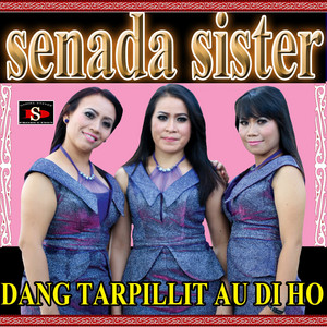 Download Lagu Senada Sister - Dang Tarpillit Au Di Ho MP3 Download Lagu Senada Sister - Dang Tarpillit Au Di Ho MP3