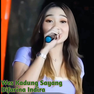 Download Lagu Difarina Indira - Wes Kadung Sayang MP3