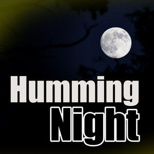 Download Lagu AlxStudio - Animal Night MP3 Download Lagu AlxStudio - Animal Night MP3