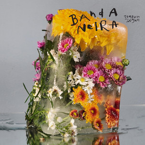 Download Lagu Banda Neira - Mimpilah Seliar-liarnya MP3