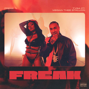 Download Lagu Tyga, Megan Thee Stallion - FREAK MP3