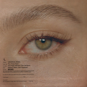 Download Lagu LANY - Thru These Tears MP3 Download Lagu LANY - Thru These Tears MP3