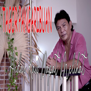Download Lagu Tagor Pangaribuan - Andai Kau Bisa Melihat MP3