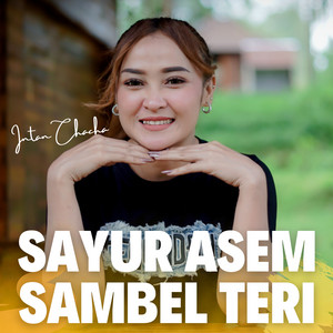 Download Lagu Intan Chacha - SAYUR ASEM SAMBEL TERI MP3 Download Lagu Intan Chacha - SAYUR ASEM SAMBEL TERI MP3
