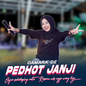 Download Lagu Damara De - Pedhot Janji MP3 Download Lagu Damara De - Pedhot Janji MP3