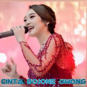 Download Lagu Difarina Indra - Cinta Bojone Uwong MP3 Download Lagu Difarina Indra - Cinta Bojone Uwong MP3